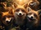 A group of foxes looking at the camera