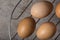Group of fresh chicken eggs on a metallic grille