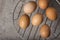 Group of fresh chicken eggs on a metallic grille