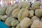 Group of fresh durians in the durian market