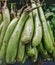 Group of fresh green Eggplants