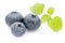 Group of fresh juisy blueberries on white background.