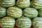 Group of fresh organically grown watermelons in the market