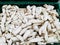 Group of fresh Pleurotus Eryngii King Oyster Mushroom, closeup