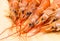 Group of fresh red langoustine focus on the head seafood with long mustache on a light background