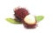 Group of Fresh Red Rambutan Isolated on a White Background