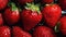 Group of Fresh Red Strawberry Fruits with Water Drops As Defocused Background