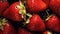 Group of Fresh Red Strawberry Fruits with Water Drops As Defocused Background