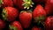 Group of Fresh Red Strawberry Fruits with Water Drops As Defocused Background