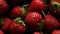 Group of Fresh Red Strawberry Fruits with Water Drops As Defocused Background