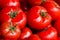 Group of fresh tomatoes background. Ripe red tomatoes