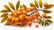 Group of Fresh Whole Sea Buckthorn Fruit on White Background AI Generativ