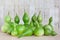 Group of freshly harvested bottle gourds