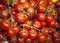 Group of freshly picked tomatoes