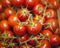 Group of freshly picked tomatoes