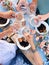 Group of friends cheering with glasses of white wine during picnic with mediterranean food outdoors