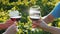 A group of friends clink glasses with red wine on the background of the vineyard. Wine tour and tourism concept