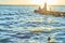 Group of friends contemplate the sunset sitting on the pier of the Albufera de Valencia