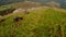 Group of friends driving quad bikes on a mountain slope.