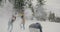 Group of friends playing snowballs and laughing enoying winter day in forest