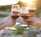 Group of friends toasting red wine at a relax party celebration