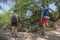 Group of friends walking with backpacks in forest. backpack hiking in the woods. Adventure, travel, tourism, active rest, hike and