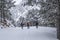 A group of friends walking together on a snowy day and the beauty of the therapeutic nature and snowy landscapes
