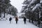 A group of friends walking together on a snowy day and the beauty of the therapeutic nature and snowy landscapes