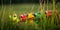 A group of frogs sitting in the grass. Generative AI image.