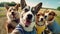 A group of funny dogs on vacation take a selfie, generative ai