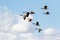 Group or gaggle of Canada Geese Branta canadensis flying
