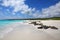 Group of Galapagos sea lions resting on sandy beach in Gardner Bay, Espanola Island, Galapagos National park, Ecuador