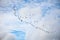 Group of geese flying in a blue sky with white clouds