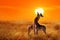 Group of giraffes against sunset in the Serengeti National Park. Africa.