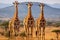 Group of giraffes in the Tsavo East National Park, Kenya, Three giraffes in Serengeti National Park, Tanzania, AI Generated