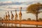 a group of giraffes walking in line across the savanna