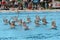 Group of girls in a pool practicing synchronized swimming