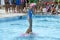 Group of girls in a pool practicing synchronized swimming