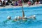 Group of girls in a pool practicing synchronized swimming