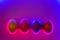 Group of glossy colorful eggs on duotone trendy neon background.