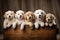Group of golden retriever puppies in wooden box. Studio shot, Group portrait of adorable puppies, AI Generated