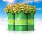 Group of green biofuel drums with sunflowers against blue sky wi
