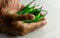 Group of green chilly with human hands on the table