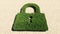 Group of green forest tree on dry ground background, padlock icon.