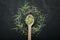 Group of green sprouts, micro greens, baby vegetables on a black background in the shape of a circle around a wooden spoon