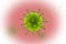 Group of green viruses on a white background with a red blurry spot in the center
