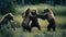 A group of grizzly bears frolic around, playfully tackling each other, generative AI