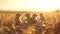 Group of ground squirrels in the harvested field in summer evening.