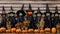 a group of halloween pumpkins and witches in front of a wooden wall