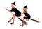 Group Halloween witch in hat fly on broom.